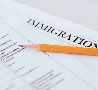 Immigration-law_icon